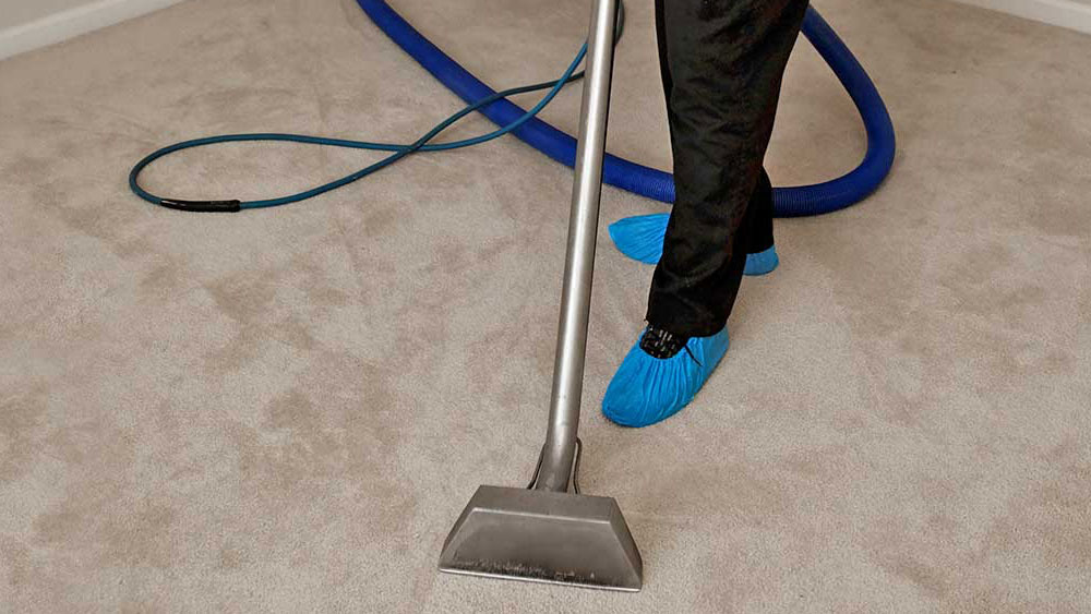 how to maintain carpet, clean carpet